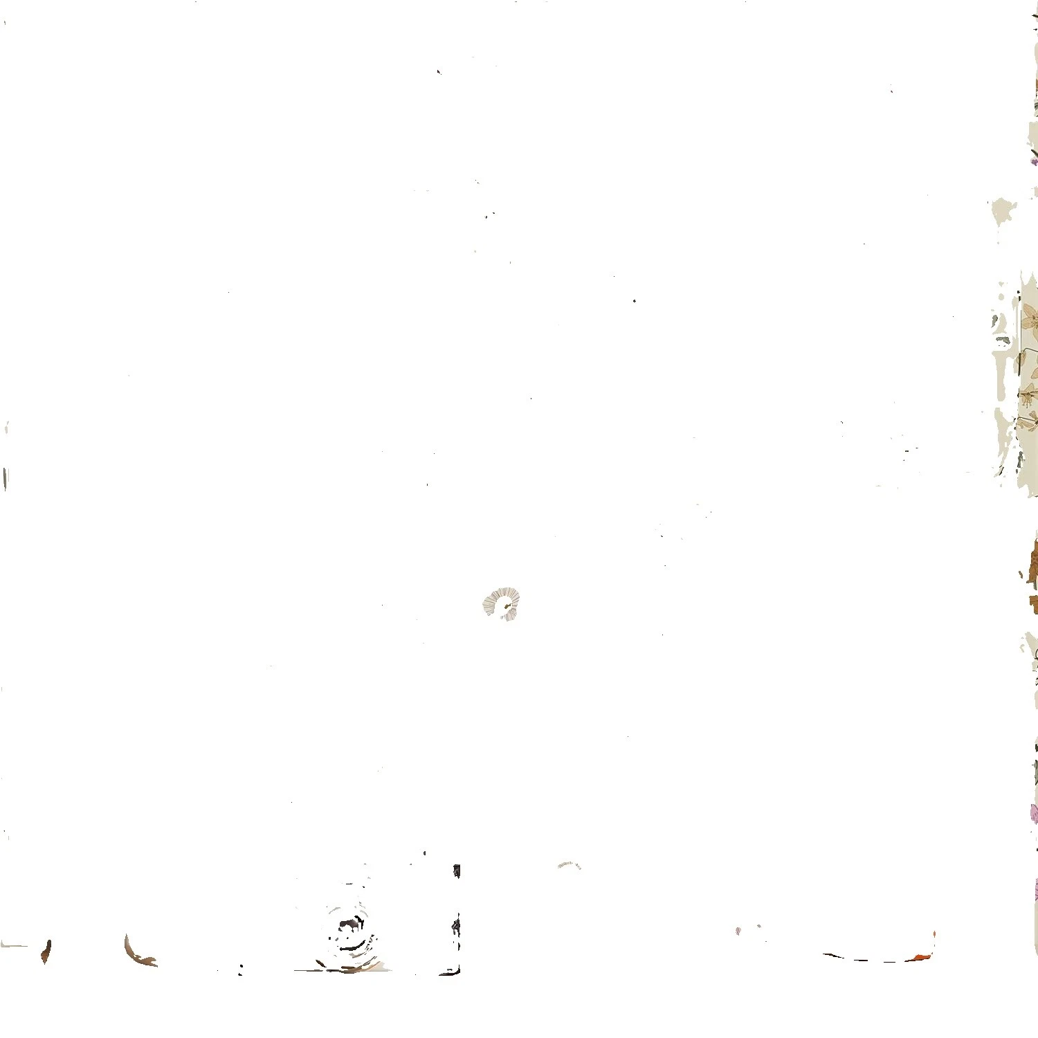 Botanical Wallpaper Wallpapers