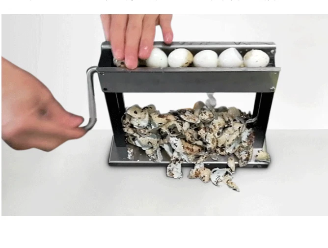 Quail Egg Peeler quail bird egg peeler machine huller machine sheller house USA