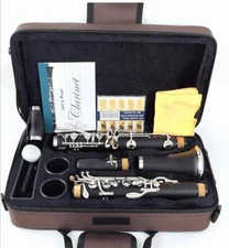 100% Bakelite clarinet Tubular 17-key bB Closed-hole clarinet Special style