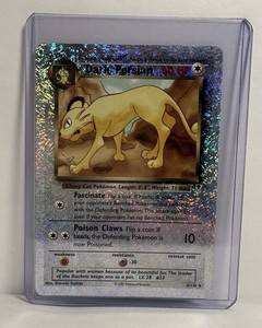 Dark Persian Legendary Collection | eBay
