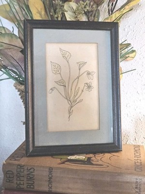 Vintage Framed Botanical Pen Drawing Art Black Wood Frame Rustic Cottage Gallery