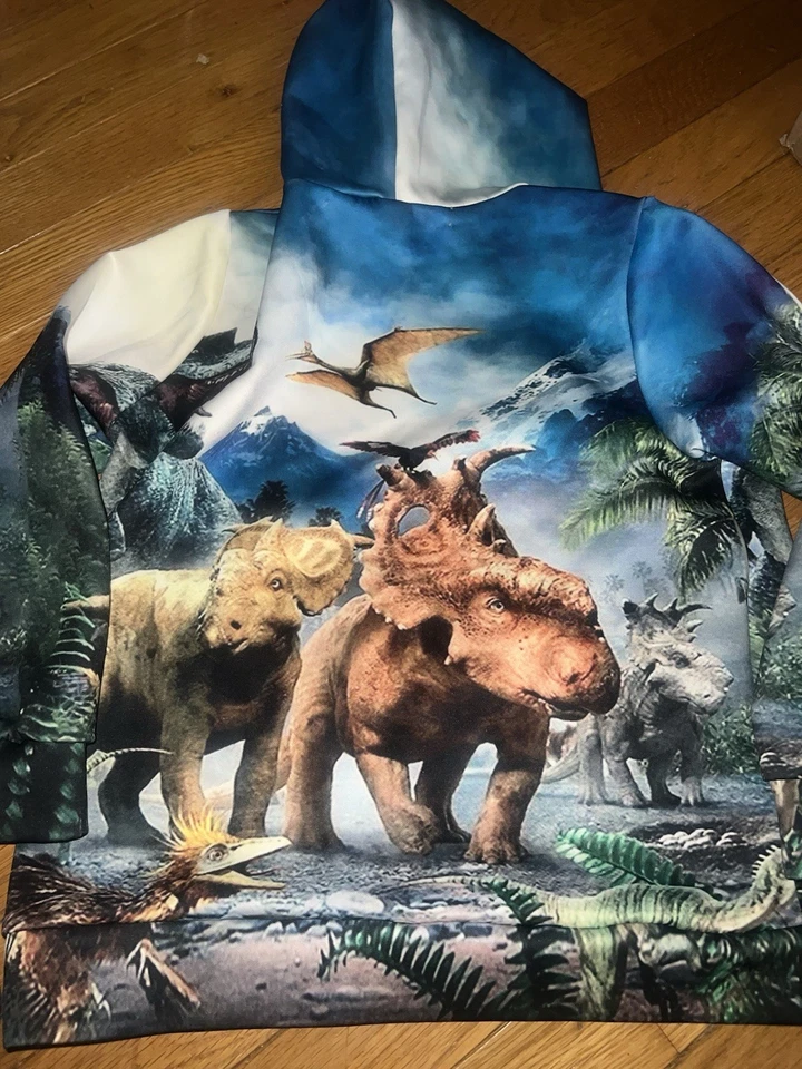 Boys Shirts,Sweatpants, Sweatshirt, 4/5/6/7 Lot Of 25 Total PCS Dino, Star Wars - Image 3 of 4