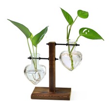 Terrarium Stand: Hydroponic Glass Bulb Vase for Home Office Decor, Plant Gifts
