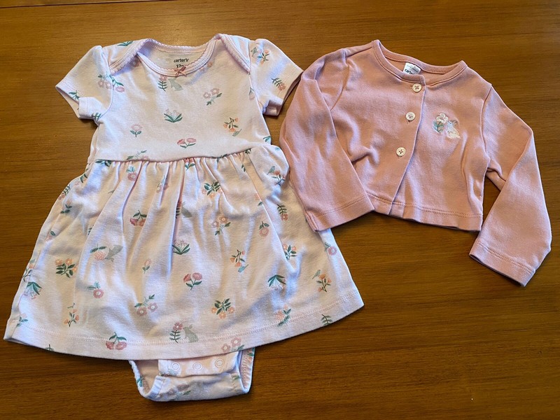 Baby Girl Carters 2 Pc Dress & Jacket Sz 12 Mo Pink Bunny Flower Bird Print VGC