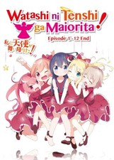 DVD Anime Wataten! An Angel Flew Down to Me - TV Series (1-12) English Subtitle