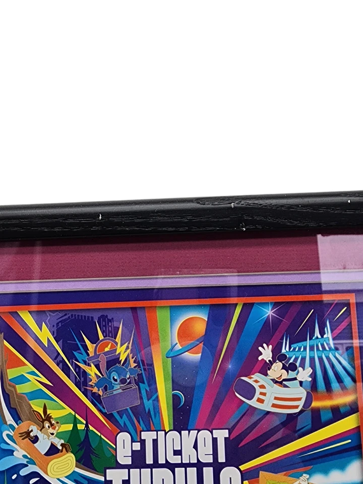 Juego de 6 prendedores enmarcados Disneyland boleto electrónico emociones Splash Mountain Space Dreamin' RARO Foto 4 de 4