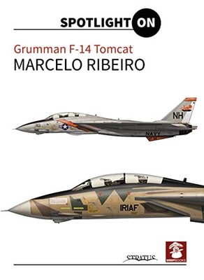 Grumman F-14 Tomcat (Spotlight On)