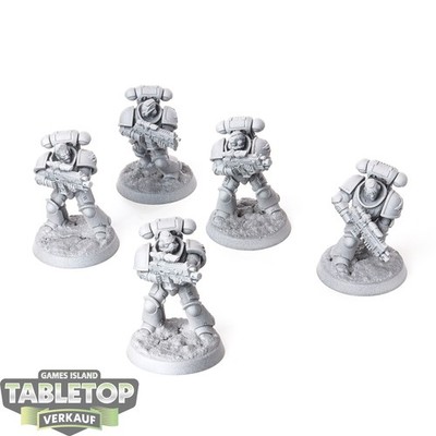 Space Wolves -  5 Intercessor Squad - grundiert