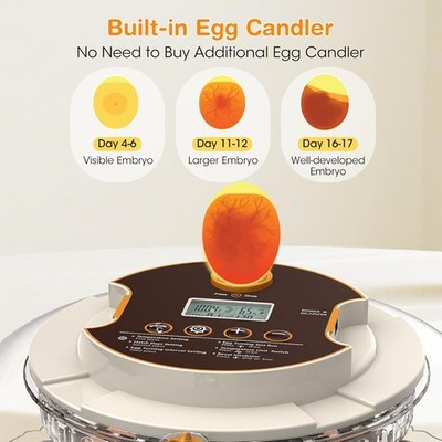 Incubators for Hatching Eggs,18 Egg Incubator with Automatic Egg Turning and ...