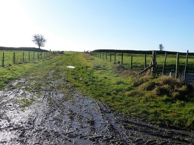 Foto 6x4 Vier Wege zu gehen [2] Allington\/SU0663 Ab diesem Punkt vier Wege c2017