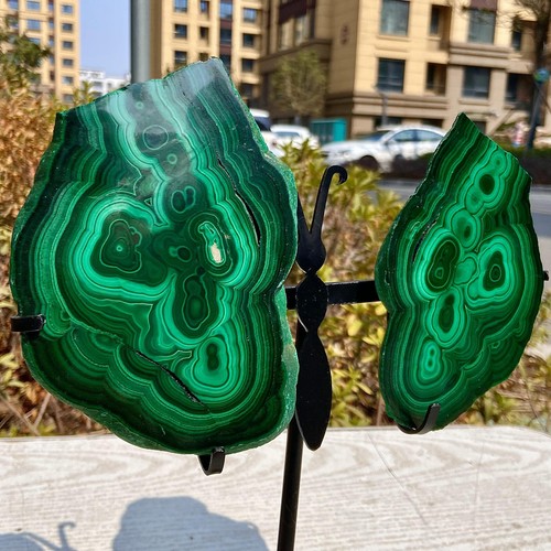 2.68LB Stunning Malachite Wing - Rare Crystal Collectible for Display & Healing - 第 13/13 張圖片