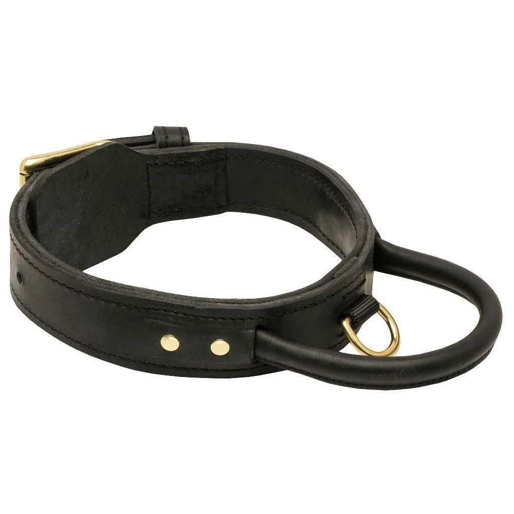 Strongest bark collar discount