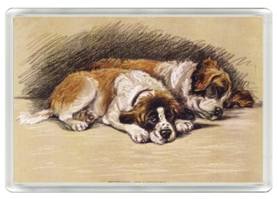 SAINT BERNARD WELPEN HUND DRUCK NEUHEIT ACRYL KÜHLSCHRANKMAGNET TOLLES GESCHENK