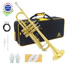 Trumpet Instrument for Beginners with Case Mouthpiece Cloth and Gloves Band