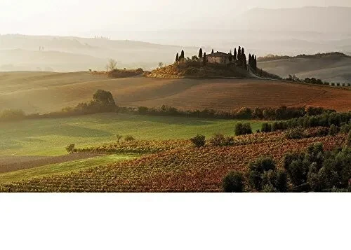 Ravensburger 2D Puzzle - San Quirico d'Orcia - 1008 Pezzi - 70 cm x 50 cm - Immagine 2 di 3