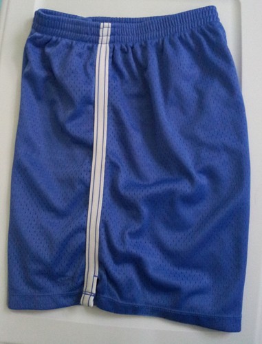 Girls Blue Basketball Athletic Mesh Shorts Size XL 6" Inseam Activewear C9 - Picture 8 of 12