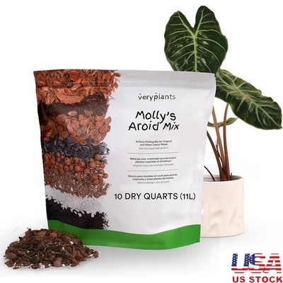 Indoor Plant Aroid Mix Organic Soil-Free Fast Draining Mycorrhizal Root Health