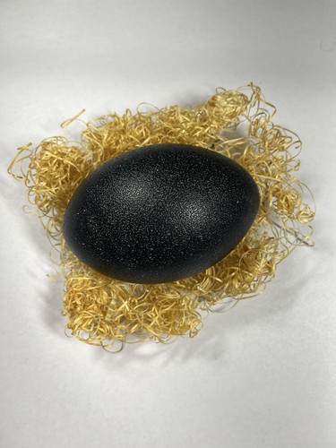 Genuine Emu Egg - Decorative Blown Out Clean Shells 2 Holes - Picture 3 of 8