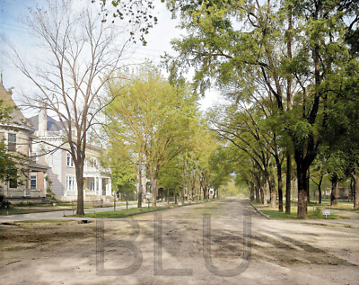 1903 Greene Street, Augusta, Georgia Keep off the grass!  11 x 14'' Photo Print