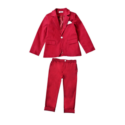 Boys Formal Blazer Jacket Pants 2Pcs Photography Suit Kids Children Party Dress - Picture 30 of 32