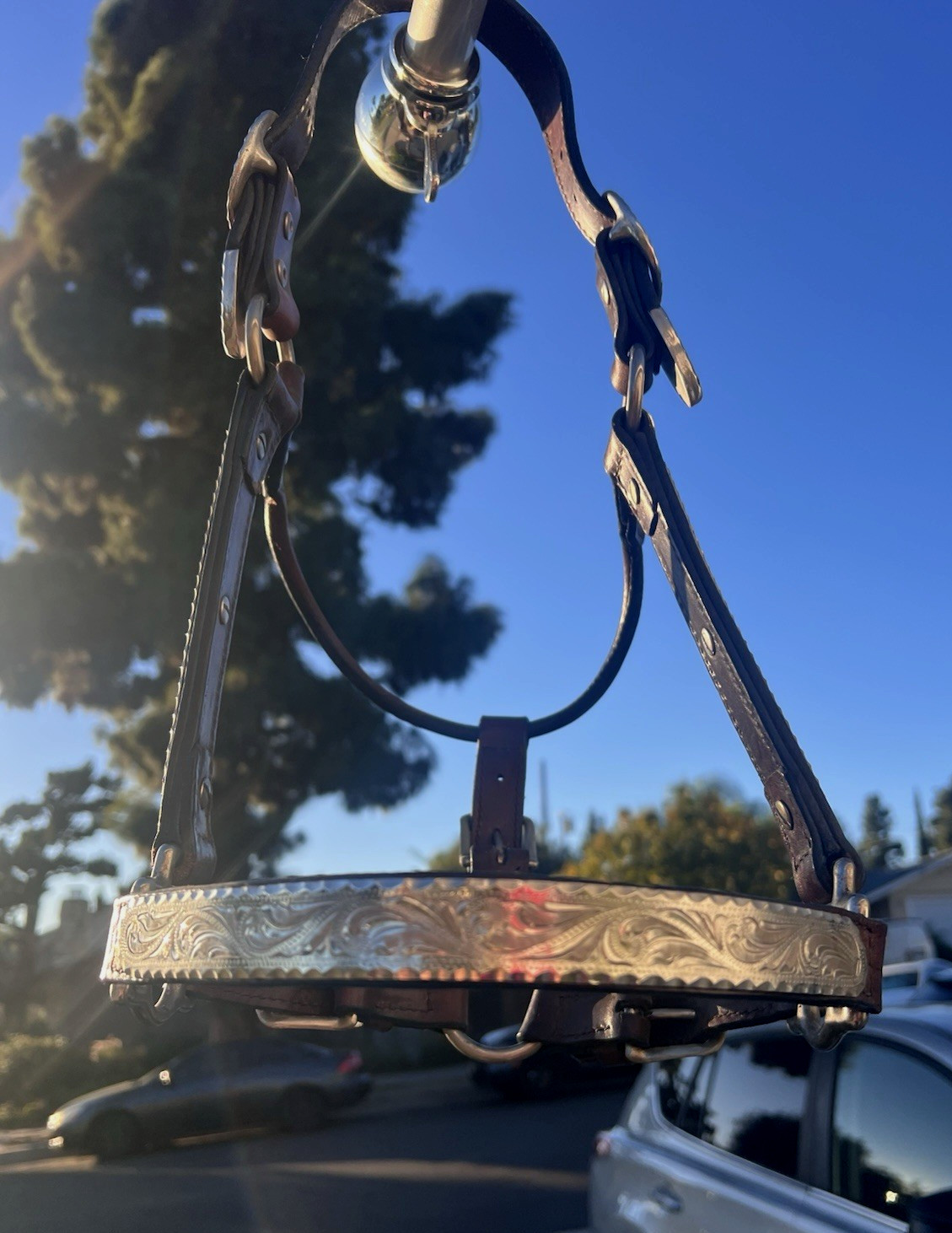 Circle Y ENGRAVED SILVER SHOW HALTER - STANDARD - Headstall Bridle Horse Tack