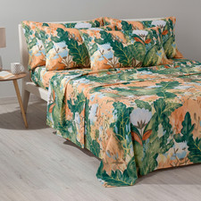 Bassetti Tropic 41 Double Bed Sheet Set in Pure Cotton