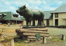 12 LAGUIOLE LE TAUREAU