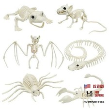 CAMIRUS 6Pack Animal Halloween Skeletons, Plastic Animal Skeleton with