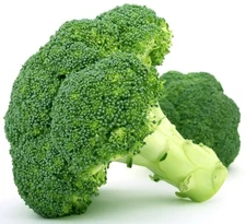 Broccoli Seed:  Emerald Crown Broccoli Seeds   Fresh Seed