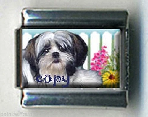 Nomination dog deals charms