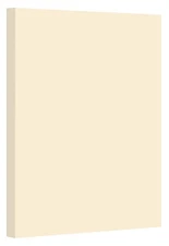 Cream Pastel Color Card Stock Paper, 67lb Cover Medium Weight Cardstock, for ...