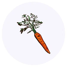 24 x 'Carrot' Stickers - for Crafts, Scrapbooking and Labelling (SK00034424)