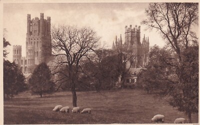 ELY CATHEDRAL FROM SOUTH ~ CAMBRIDGESHIRE ~ GEBRAUCHT ~ UNVERSANDT