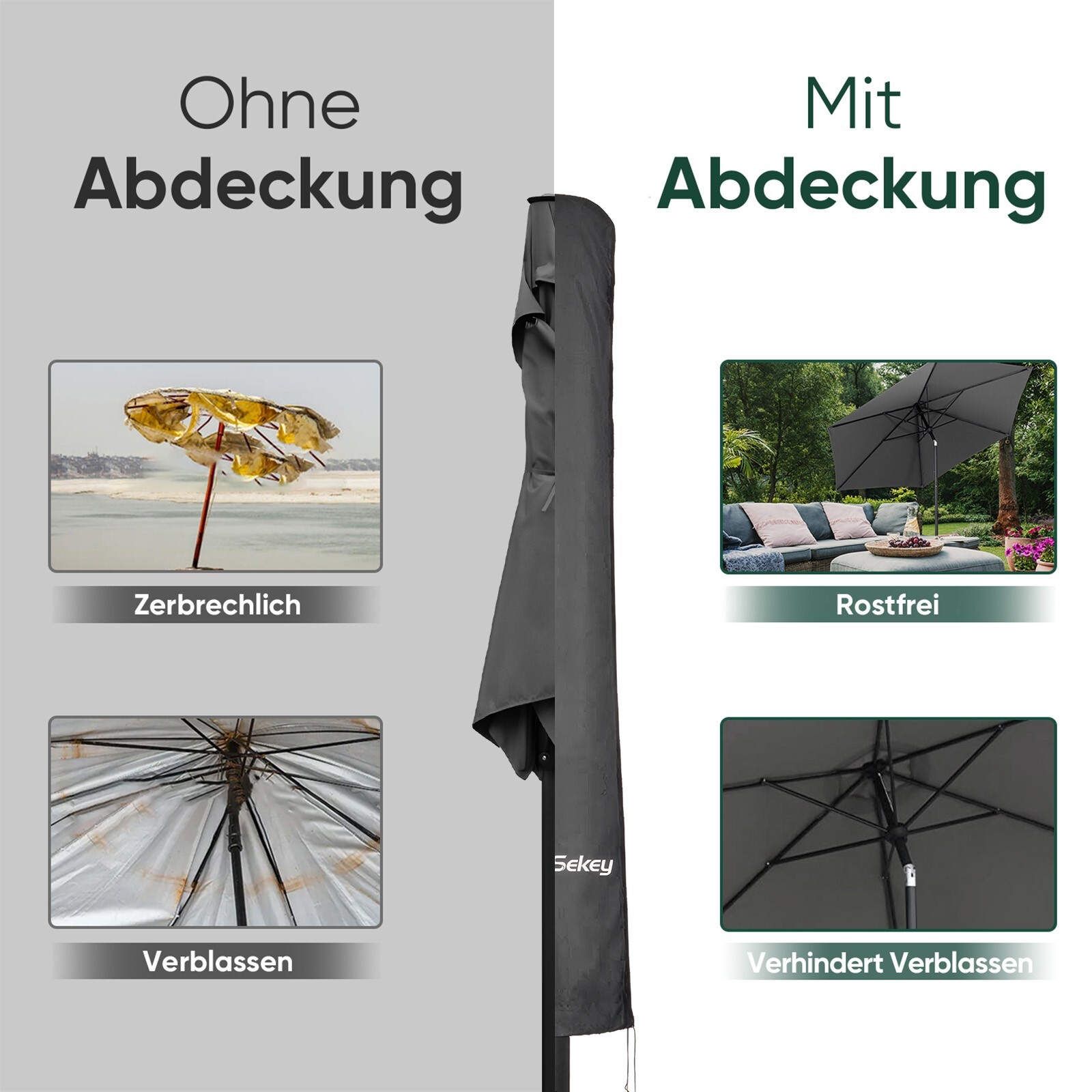 Bild 32 von 42