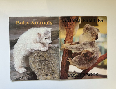 Scholastic Baby Animals Poster Book Lot PB 1980 Illus Ages 4-8 Nonfiction