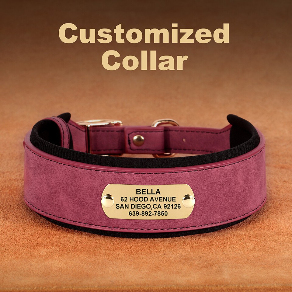 Hunde Mantel Wolters Personalisiertes Leder-Hundehalsband  Breit,  Gepolstert, Fr Rottweiler, Labrador, Schferhund, Gren M-XL