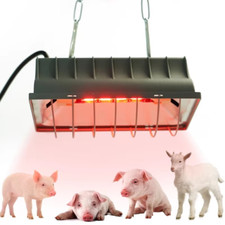New Chicken Coop Heater 250W lamp For Chicken Chicks Poultry Dog house Pet UK