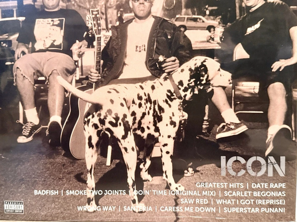 SUBLIME - ICON LP LIMITED EXCLUSIVE Oceania Blue COLORED VINYL Compilation NEW - Image 2 of 4