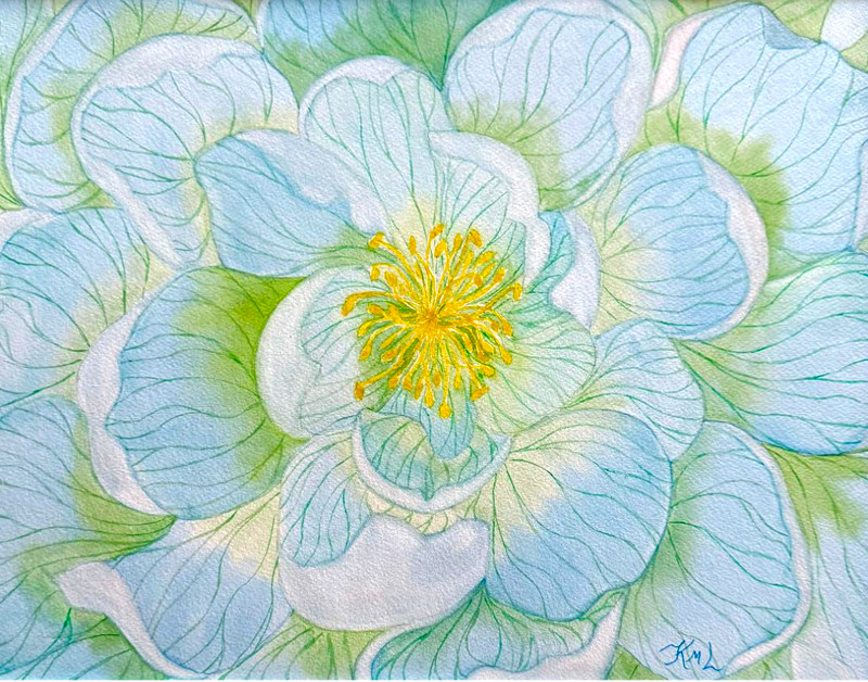 PAINTING WATERCOLOR ORIGINAL ART POPPY FLOWER BLUE GREEN FLORAL 11x14 MAT 16X20