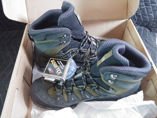 salomon men's quest 4d 2 gtx hiking boot