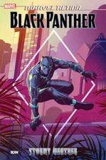 Marvel Action: Black Panther: Stormy Weather (Book One) - Paperback - GOOD