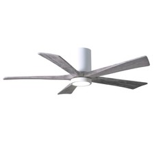 Matthews Fan Irene-HLK 5-Bld 52