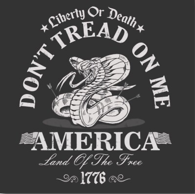 Don t tread On Me,Liberty Or Death on a 3.5  X 2.5  Refrigerator Magnet