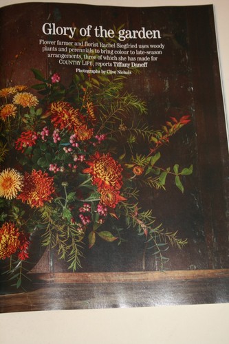 Country Life Magazine property homes gardens people art culture history - Picture 5 of 6