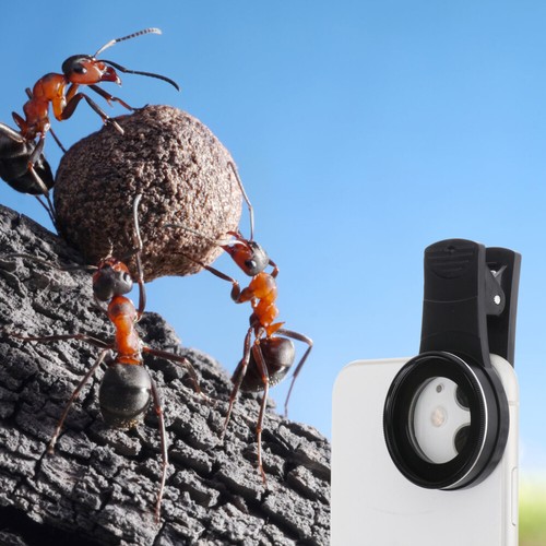 37 Mm Makro-Objektiv 15x Makroobjektiv Clip Auf Handy-Makroobjektiv - 第 12/12 張圖片