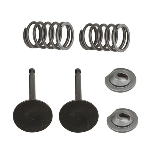 1 Set Valve Springs For Honda GX160 GX200 168F 170F 5.5-6.5HP Gasoline Engine - Picture 7 of 8