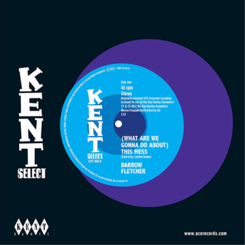 Darrow Fletcher (What Are We Gonna Do About) This Mess (Vinyl LP) 7" Single