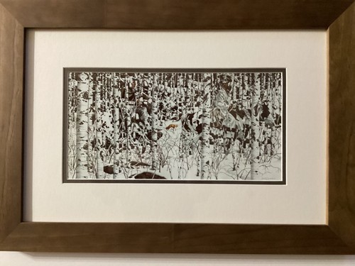 Bev Doolittle Woodland Encounters Gallery Quality Framing