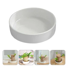 2 Pcs Desk Ceramic Tray Base Top Plant White Decor Office Ashtray Potted