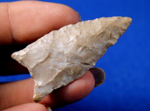 Dalton Classic Point Authentic Prehistoric Artifact Arrowhead Native Indian - Picture 5 of 8